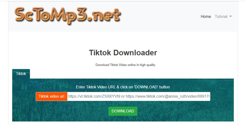 How to Download TikTok Videos Without Watermark
